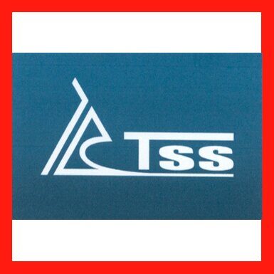 Резчик швов TSS